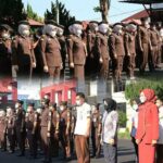 WhatsApp Image 2022-04-06 at 14.15.40