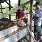 WhatsApp Image 2022-08-03 at 16.04.32