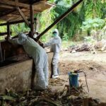 WhatsApp Image 2022-08-05 at 10.32.17