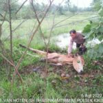 WhatsApp Image 2022-08-06 at 13.02.09