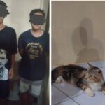 WhatsApp Image 2022-08-11 at 07.43.57