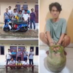 c34ea208-83e1-408d-9586-f2b87a5f736c