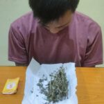 13b63da0-77b8-4ae1-a07d-c9e3ebf0a007