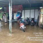 555005c2-34b9-4fd9-b877-c92188ab168a