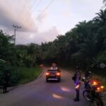 6728e563-6a0b-4b44-bcb8-6de98f2697c0