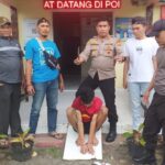 75d95245-7b6d-458f-9949-d23a5d94e8c5