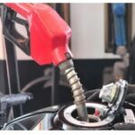 WhatsApp Image 2022-10-19 at 10.54.06 AM