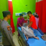 WhatsApp Image 2022-11-13 at 17.22.06