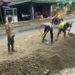 5a227387-c9ce-40db-a26c-942f8c0dc088