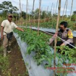 WhatsApp Image 2022-12-23 at 8.35.31 AM