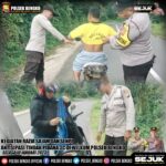 WhatsApp Image 2023-01-10 at 21.06.11