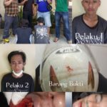 WhatsApp Image 2023-01-12 at 14.42.51 (1)