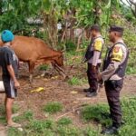 WhatsApp Image 2023-01-16 at 10.38.56 (1)