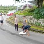 WhatsApp Image 2023-01-20 at 14.30.21 (3)