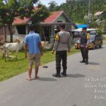 WhatsApp Image 2023-01-27 at 09.36.47