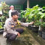 WhatsApp Image 2023-02-02 at 19.50.02 (2)