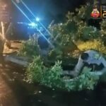 WhatsApp Image 2023-02-08 at 00.18.50