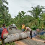 WhatsApp Image 2023-02-08 at 12.28.59 AM