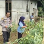 WhatsApp Image 2023-02-08 at 12.51.33 AM