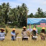 WhatsApp Image 2023-02-11 at 11.30.25