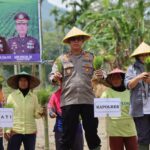 WhatsApp Image 2023-02-16 at 00.02.10