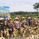 WhatsApp Image 2023-02-18 at 12.38.38