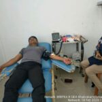 WhatsApp Image 2023-02-19 at 18.43.11