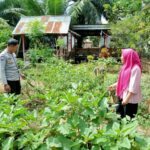 WhatsApp Image 2023-02-21 at 11.10.42 (3)