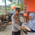 WhatsApp Image 2023-02-23 at 16.11.54