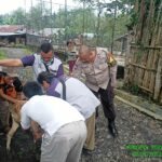 WhatsApp Image 2023-02-28 at 13.29.13