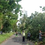 WhatsApp Image 2023-03-02 at 12.50.30 (2)