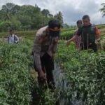 WhatsApp Image 2023-03-12 at 01.46.48