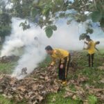 WhatsApp Image 2023-03-12 at 18.17.43