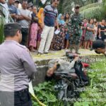 WhatsApp Image 2023-03-29 at 09.43.13