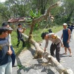 WhatsApp Image 2023-04-11 at 16.40.31