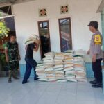 WhatsApp Image 2023-04-12 at 06.32.49