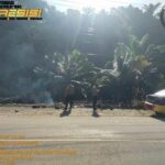 WhatsApp Image 2023-04-25 at 10.52.10