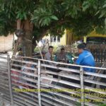 WhatsApp Image 2023-04-29 at 6.18.57 AM