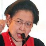 WhatsApp Image 2023-05-15 at 8.23.46 PM