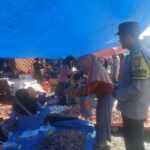 WhatsApp Image 2023-05-25 at 05.17.08