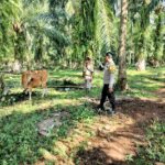 WhatsApp Image 2023-05-29 at 09.16.38