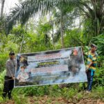 WhatsApp Image 2023-06-02 at 16.35.20