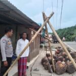 WhatsApp Image 2023-06-08 at 10.13.40