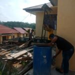 WhatsApp Image 2023-06-12 at 10.38.12