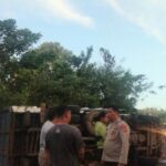 WhatsApp Image 2023-06-19 at 20.03.04