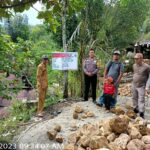 WhatsApp Image 2023-06-20 at 01.41.08