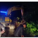 WhatsApp Image 2023-06-27 at 05.47.58 (1)