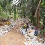 WhatsApp Image 2023-07-17 at 07.29.18