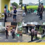 WhatsApp Image 2023-07-23 at 19.31.04