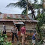 WhatsApp Image 2023-07-25 at 11.18.59